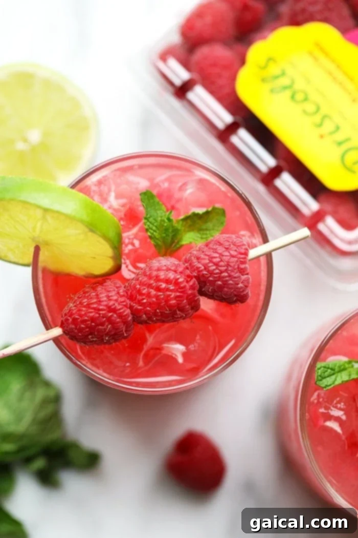 Close-up of a raspberry ginger mojito garnished with lime and mint, ready to be enjoyed.