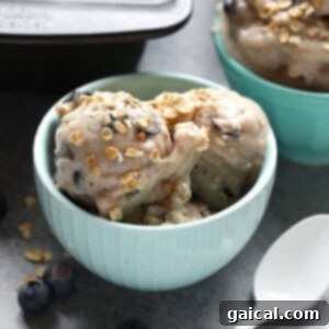 Blueberry Muffin Banana Swirl 6 nice cream in glass