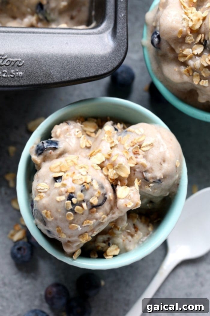 Blueberry Muffin Banana Swirl 7 Cool off this summer with this Vegan Blueberry Muffin Banana Soft-Serve. It is naturally sweetened, delicious, and made with only six ingredients!