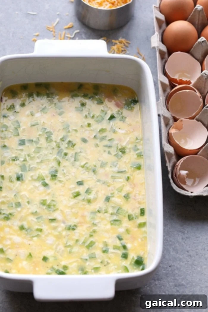 Serve a crowd this Healthy Denver Omelette Egg Bake or make it for meal-prep for the week! Either way, it's high in protein, only requires a few ingredients, and will become a staple in your kitchen.