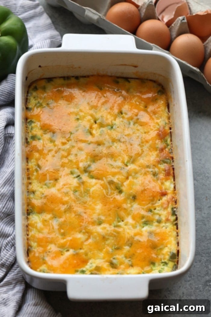 Serve a crowd this Healthy Denver Omelette Egg Bake or make it for meal-prep for the week! Either way, it's high in protein, only requires a few ingredients, and will become a staple in your kitchen.