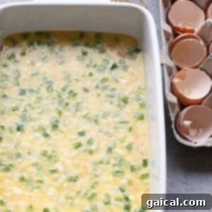 A Denver omelette with green onions.