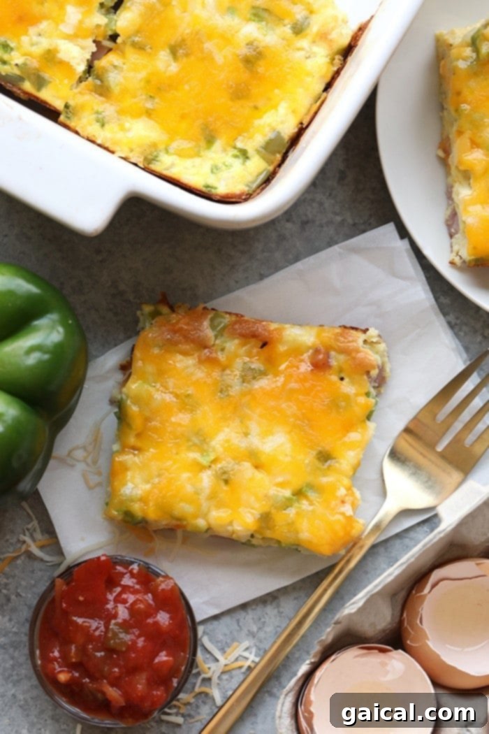 Serve a crowd this Healthy Denver Omelette Egg Bake or make it for meal-prep for the week! Either way, it's high in protein, only requires a few ingredients, and will become a staple in your kitchen.