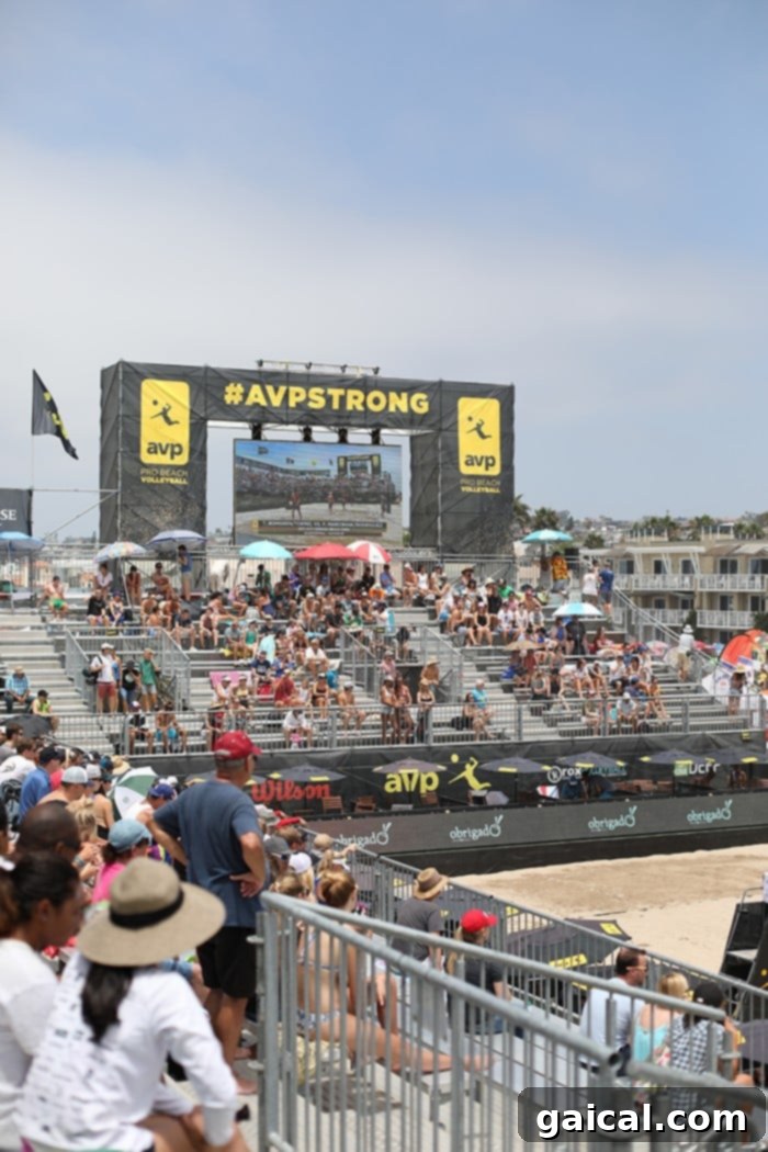 Hermosa Beach Fit Foodie Fuel A 72 Hour Coastal Experience 7 Panoramic view of Hermosa Beach coastline with volleyball nets