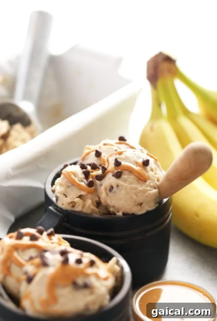 Nutty Chocolate Banana Dream Freeze 2 Peanut Butter Banana Nice Cream in a bowl, topped with chocolate chips and a drizzle of peanut butter