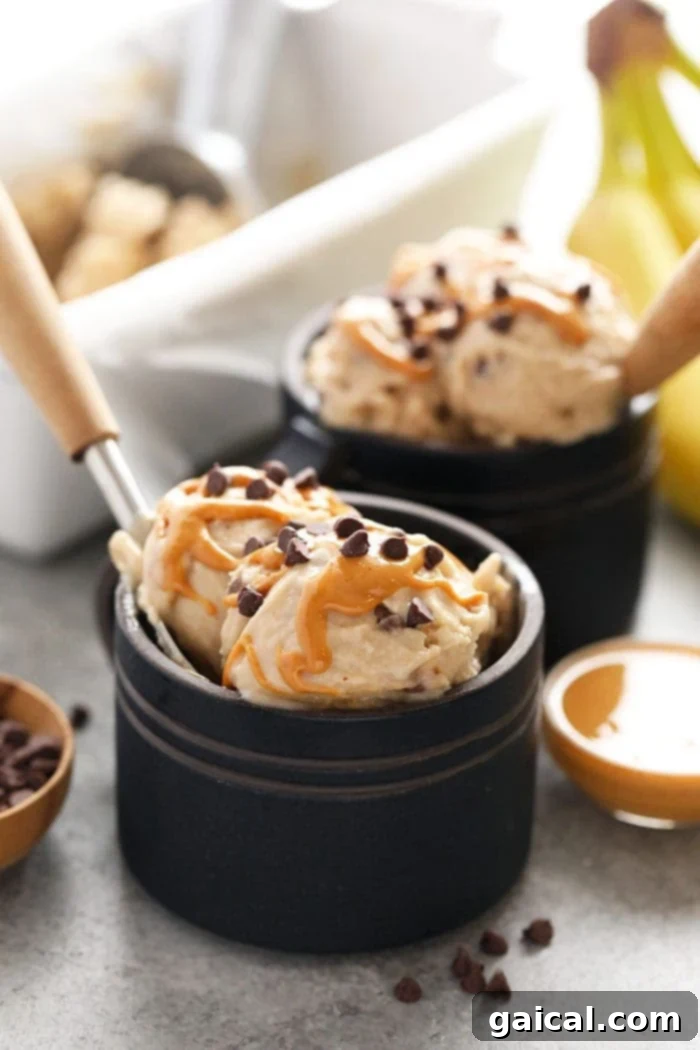 Nutty Chocolate Banana Dream Freeze 7 A delightful bowl of Peanut Butter Banana Nice Cream with generous toppings