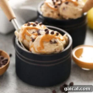Nutty Chocolate Banana Dream Freeze 8 A vibrant image of Peanut Butter Chocolate Chip Banana Nice Cream in a small bowl