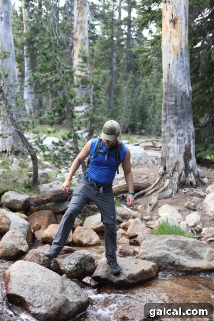 Fit Foodie Yosemite 48 Hour Itinerary 23 Hiking trail through a shaded forest leading to Cathedral Lakes