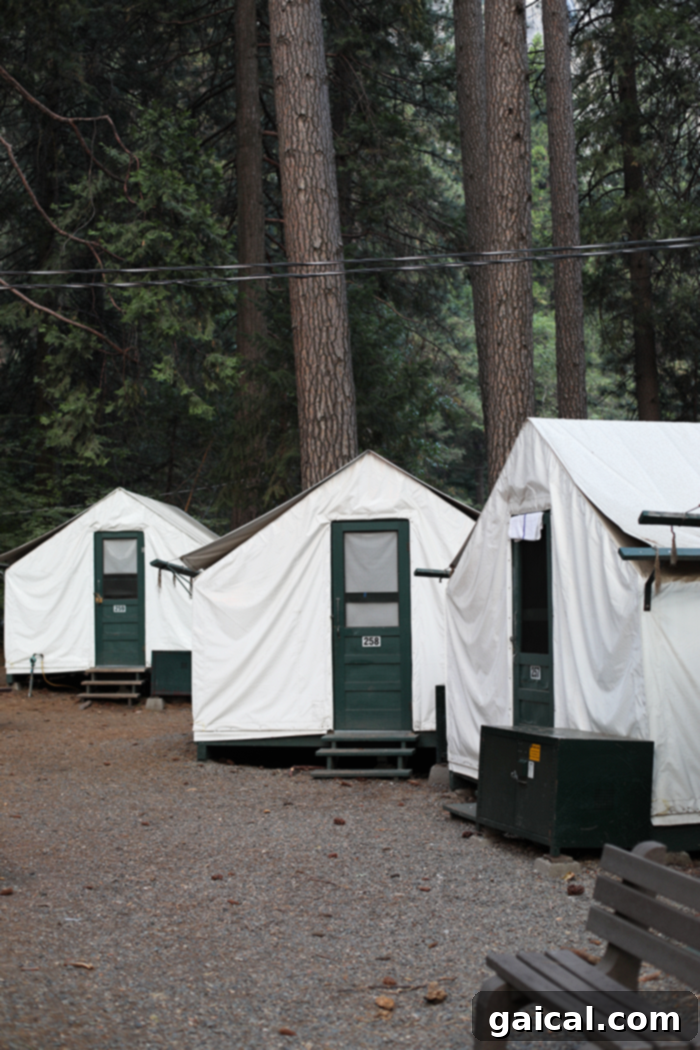 Fit Foodie Yosemite 48 Hour Itinerary 4 Interior of a comfortable tent cabin at Half Dome Village, Yosemite