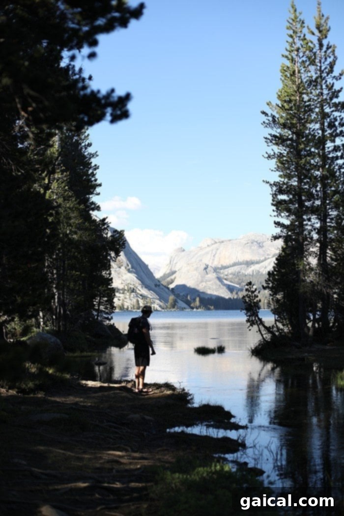 Fit Foodie Yosemite 48 Hour Itinerary 6 Man wading through a stream near Tenaya Lake in Yosemite National Park