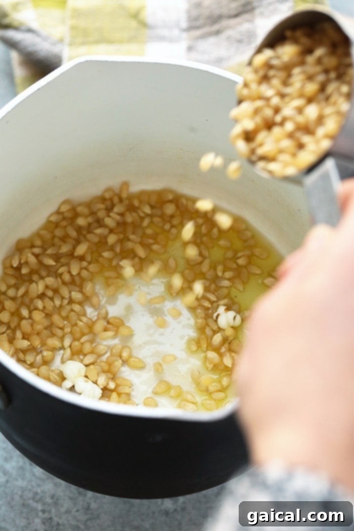 Unpopped popcorn kernels ready for popping Close-up of unpopped popcorn kernels