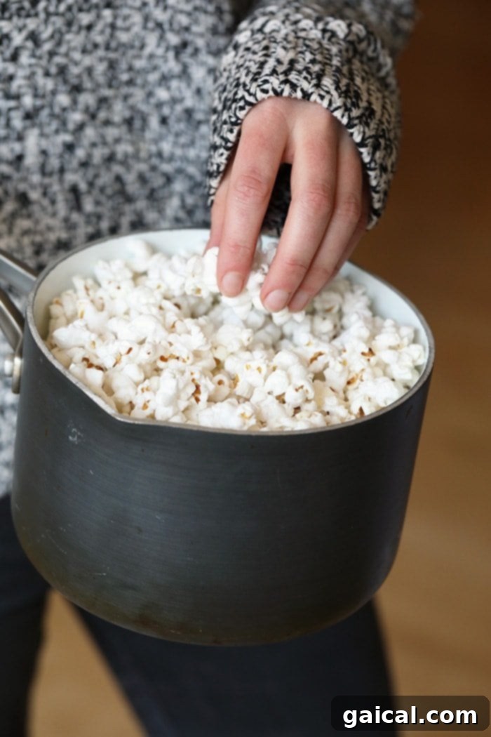 Hot and fresh popcorn just popped on the stove Freshly popped popcorn in a cooking pot, steam rising