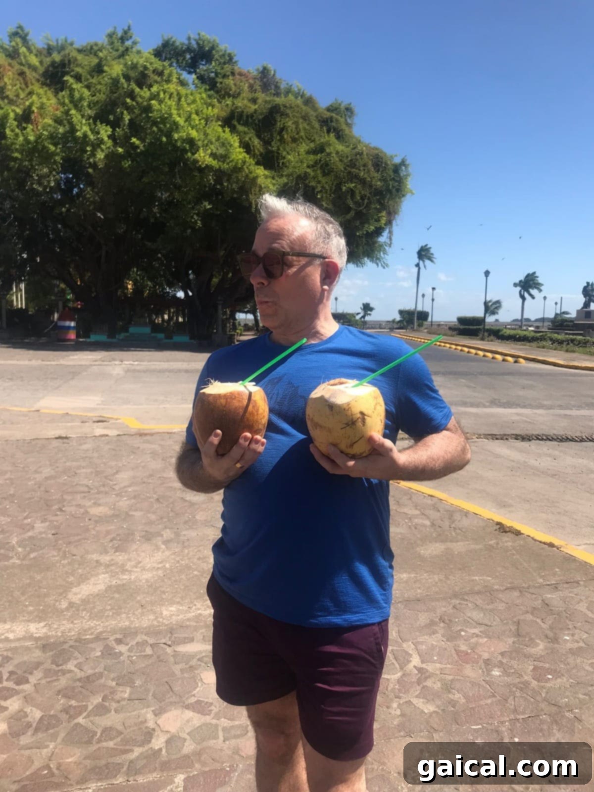 Three-day travel guide to Granada, Nicaragua! A local man carrying coconuts on a donkey, capturing the authentic charm of Granada, Nicaragua for a three-day travel guide.