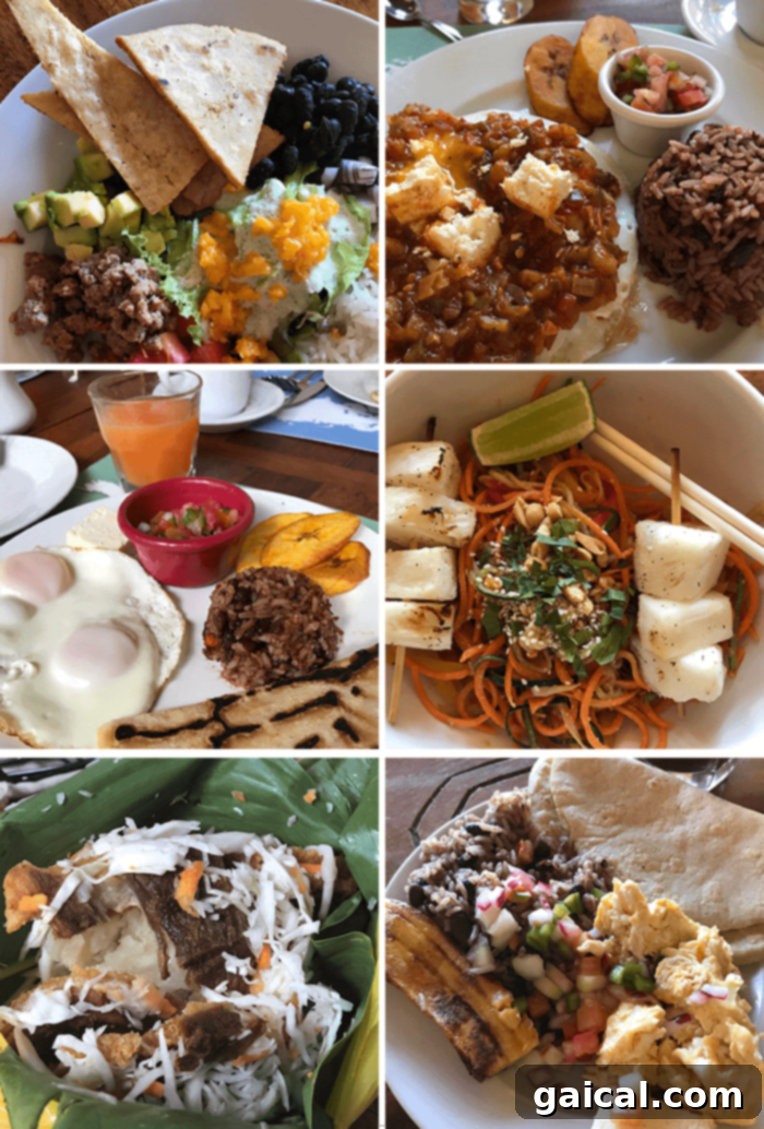Nicaragua offers a wide variety of delicious food! A vibrant and healthy plate of food, showcasing the delicious and diverse cuisine available in Nicaragua.