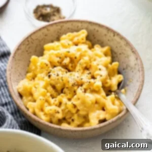 A bowl of Instant Pot Protein Mac and Cheese, garnished with fresh parsley.