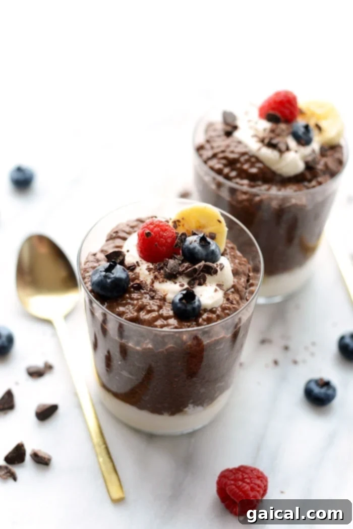 Chocolate Chia Seed Pudding: Healthy Dairy-Free Dessert A clear glass cup filled with rich chocolate chia seed pudding, topped with fresh raspberries, showcasing a delicious dairy-free treat.