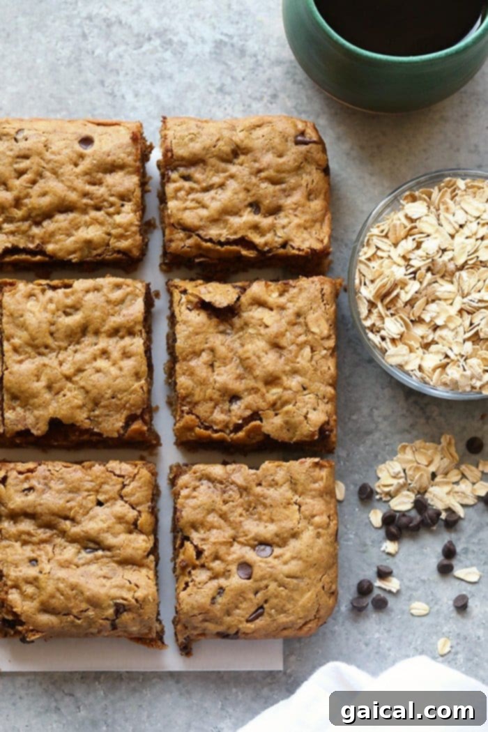 Wholesome Peanut Butter Oatmeal Bars Close-up of Peanut Butter Oatmeal Cookie Bars with oats