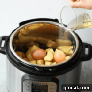 Pouring liquid into Instant Pot for potato and egg cooking.