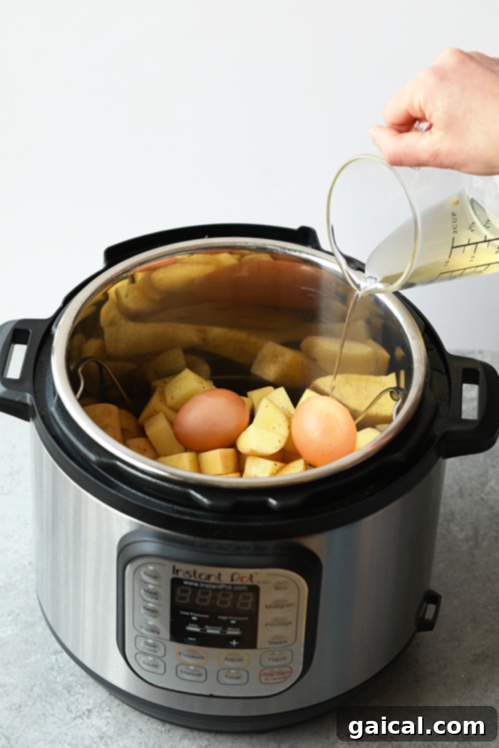 Infusing flavor by pouring vinegar over potatoes in the Instant Pot. Pouring apple cider vinegar and water into the Instant Pot over chopped potatoes.