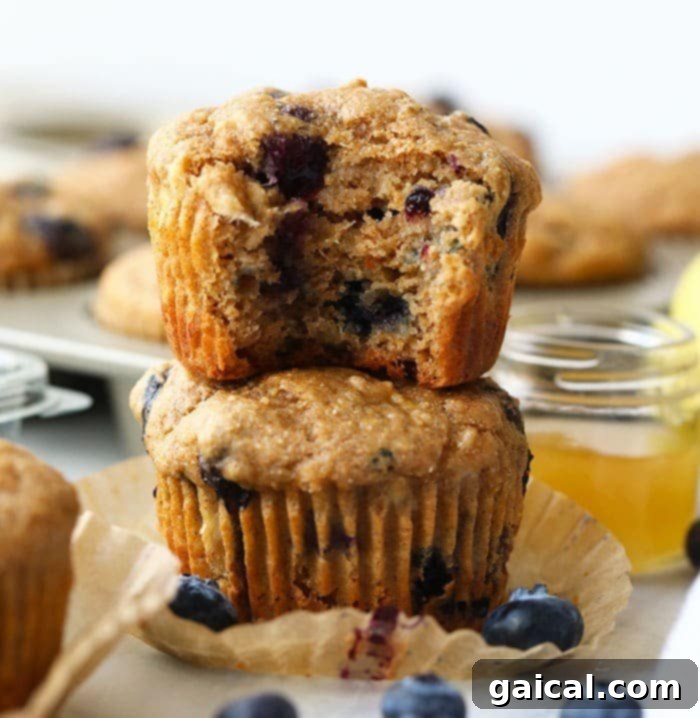 Enjoy these healthy blueberry muffins, made with 100% whole grains, bananas, and honey for a perfectly sweet and moist snack. Stacked healthy blueberry muffins with a fresh blueberry garnish, showcasing their fluffy texture and golden-brown tops.