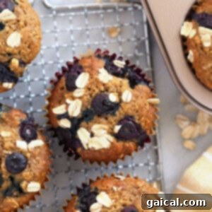 Wholesome Blueberry Muffins 3 A close-up of a blueberry oatmeal muffin, showcasing its texture and oat topping.