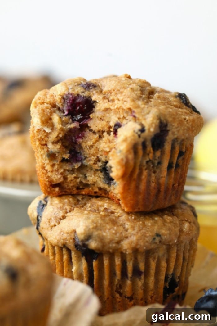 Everyone cherishes a classic blueberry muffin! These healthy blueberry muffins are packed with tart blueberries, sweet honey, bananas, and fluffy Greek yogurt. They're both healthy and utterly delicious! A healthy blueberry muffin with a bite taken out, revealing its moist interior and plump blueberries, served on a rustic plate.