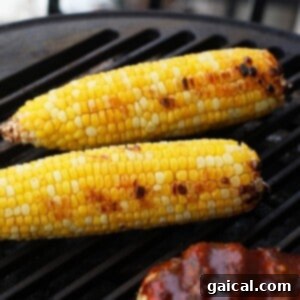 Grilled corn on the cob with a bbq glaze, showing perfect char marks, next to a brush with BBQ sauce.
