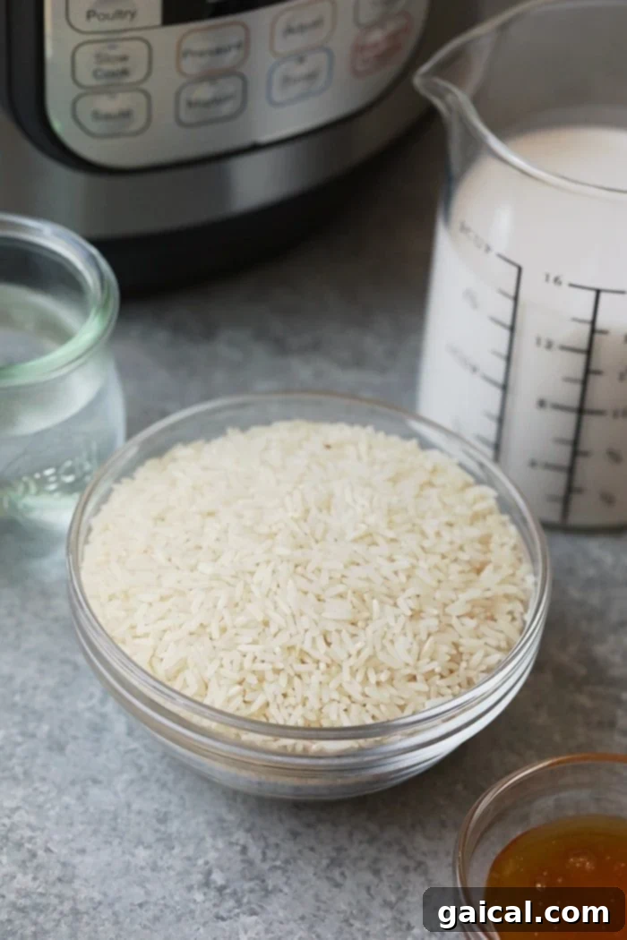 Close-up of perfectly cooked Instant Pot coconut rice in a bowl.