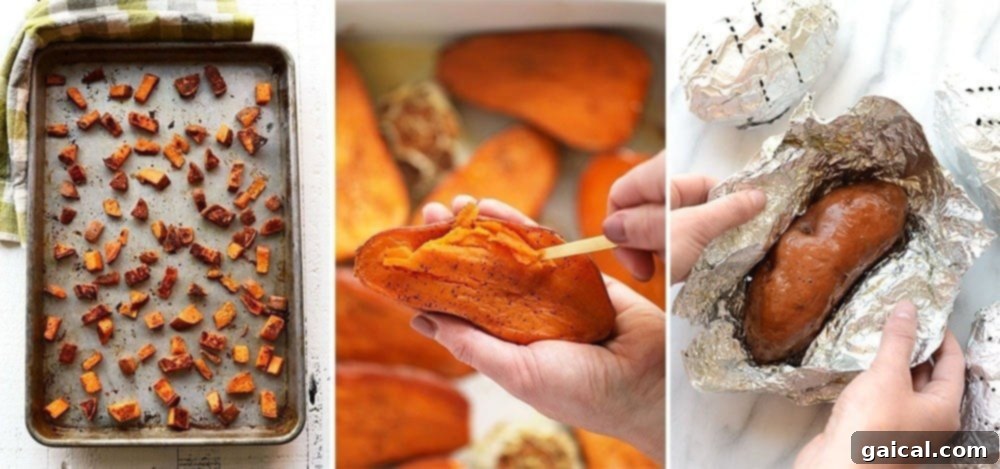 Various cooked sweet potato dishes, illustrating different preparation methods like roasted cubes, mashed sweet potatoes, and baked halves.