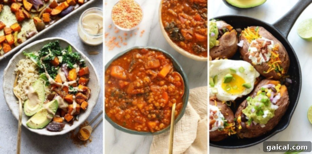 Sweet potato lunch recipes displayed, including Buddha bowls and stuffed sweet potatoes.