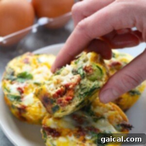 Garden Green Egg Cups 4 A close-up shot of a perfectly baked spinach egg muffin, golden brown and fluffy, showcasing the vibrant spinach and sun-dried tomatoes within. Ideal for a healthy breakfast.