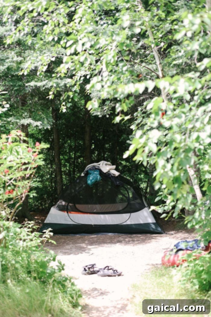 Comfortable Base Camp in the BWCA Team Fit Foodie's serene campsite set up in the Boundary Waters
