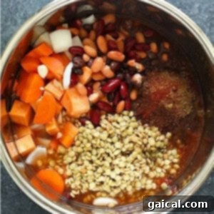 Hearty Vegan Instant Pot Chili 6 An Instant Pot filled with beans, carrots, and other ingredients makes a delicious chili.