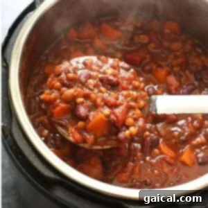 Hearty Vegan Instant Pot Chili 7 Instant Pot chili.