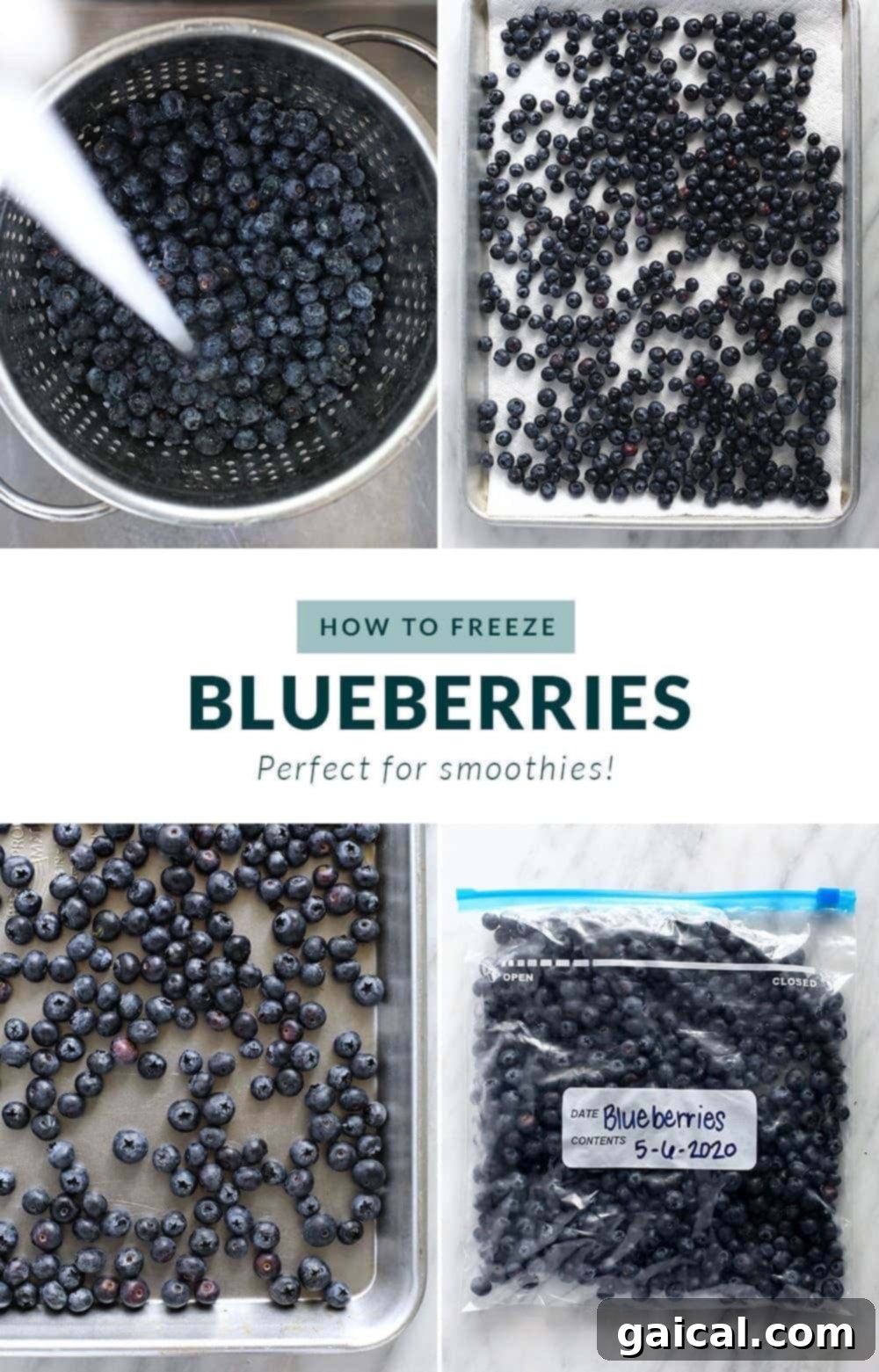 How to Freeze Blueberries at Home Step-by-step guide to freezing fresh blueberries on a baking sheet