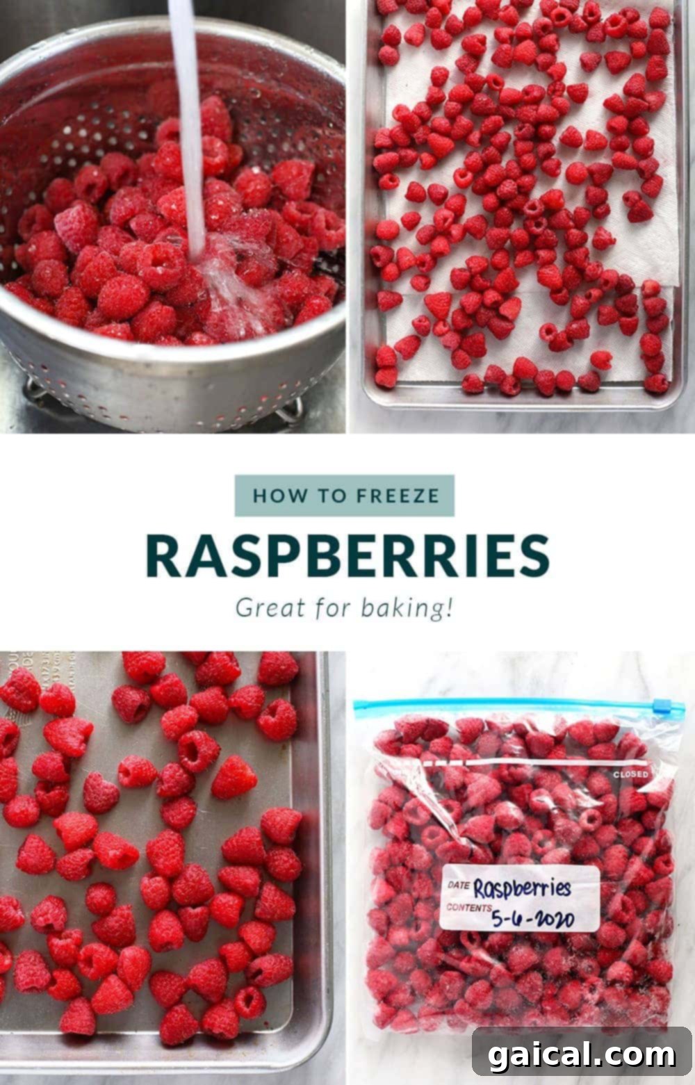 How to Freeze Raspberries Step-by-step guide to freezing fresh raspberries at home