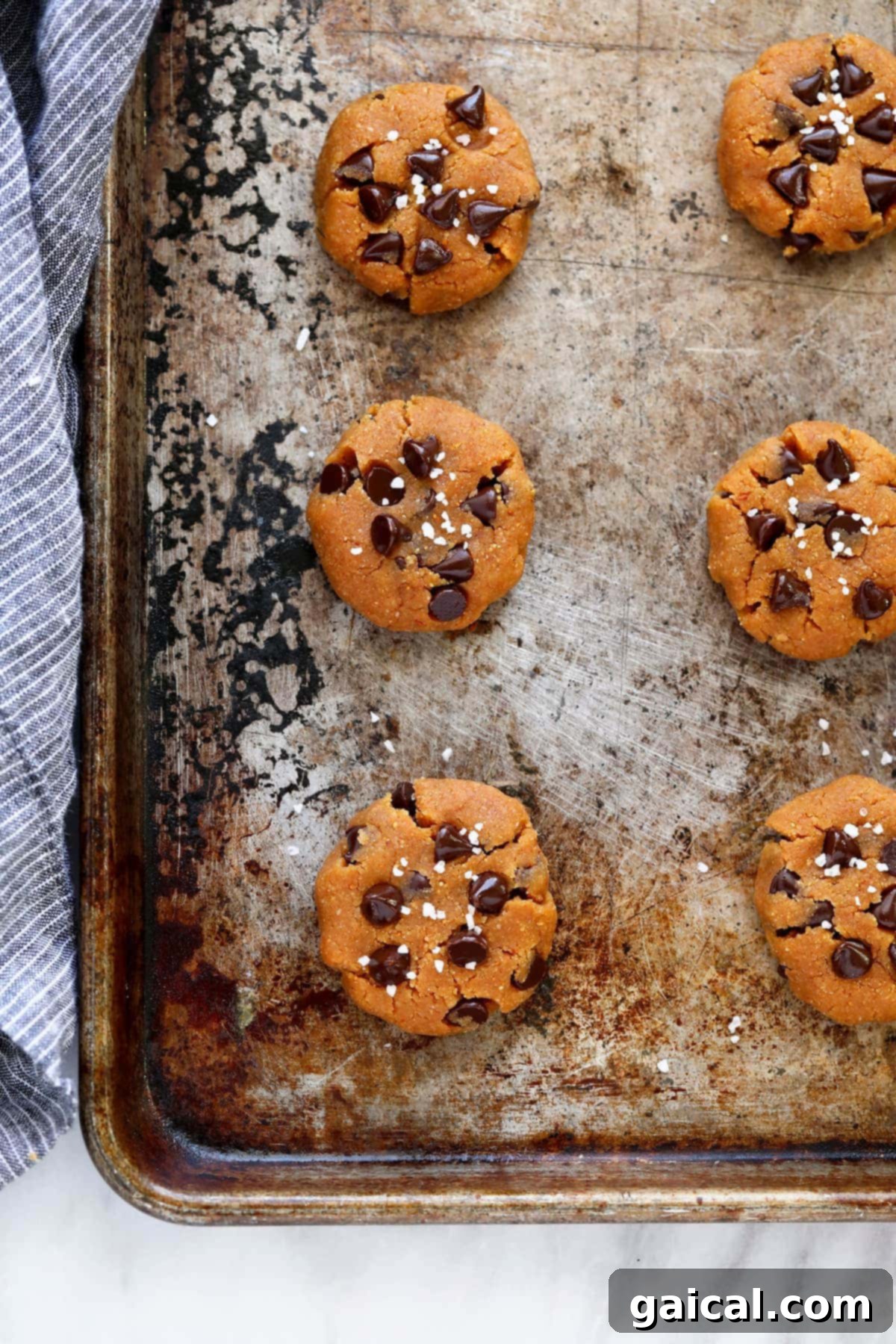 These Healthy Peanut Butter Cookies are flourless, chewy and oh so delicious with dark chocolate chips and a sprinkle of sea salt. Healthy peanut butter cookie dough balls neatly arranged on a baking sheet, perfectly shaped and ready for the oven, adorned with extra chocolate chips and sea salt.