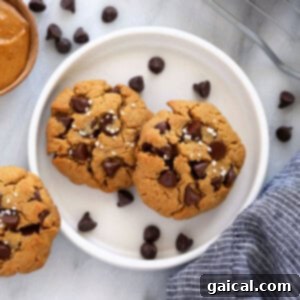 Nourishing Peanut Butter Delights 2 healthy peanut butter cookies on a plate, showcasing their inviting texture