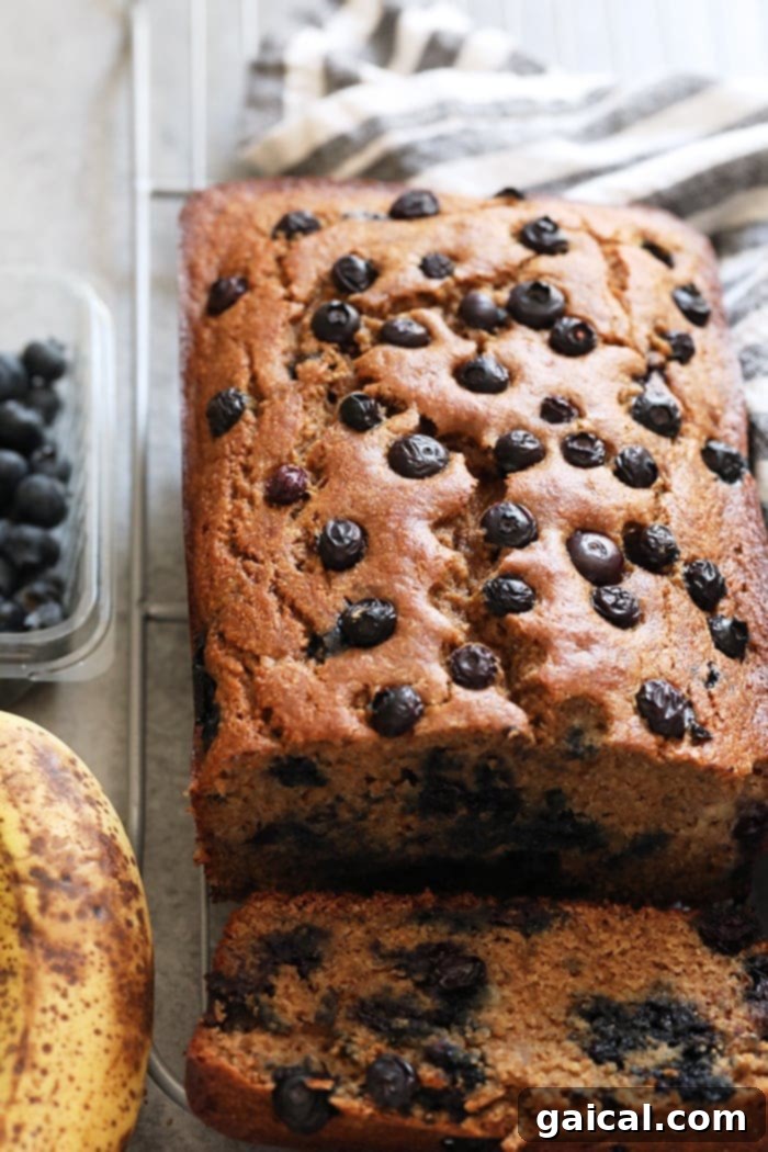 Perfectly moist blueberry banana bread made with whole grains, Greek yogurt, fresh blueberries, and maple syrup! Perfectly baked blueberry banana bread cooling on a wire rack, showcasing its golden-brown crust and moist interior.