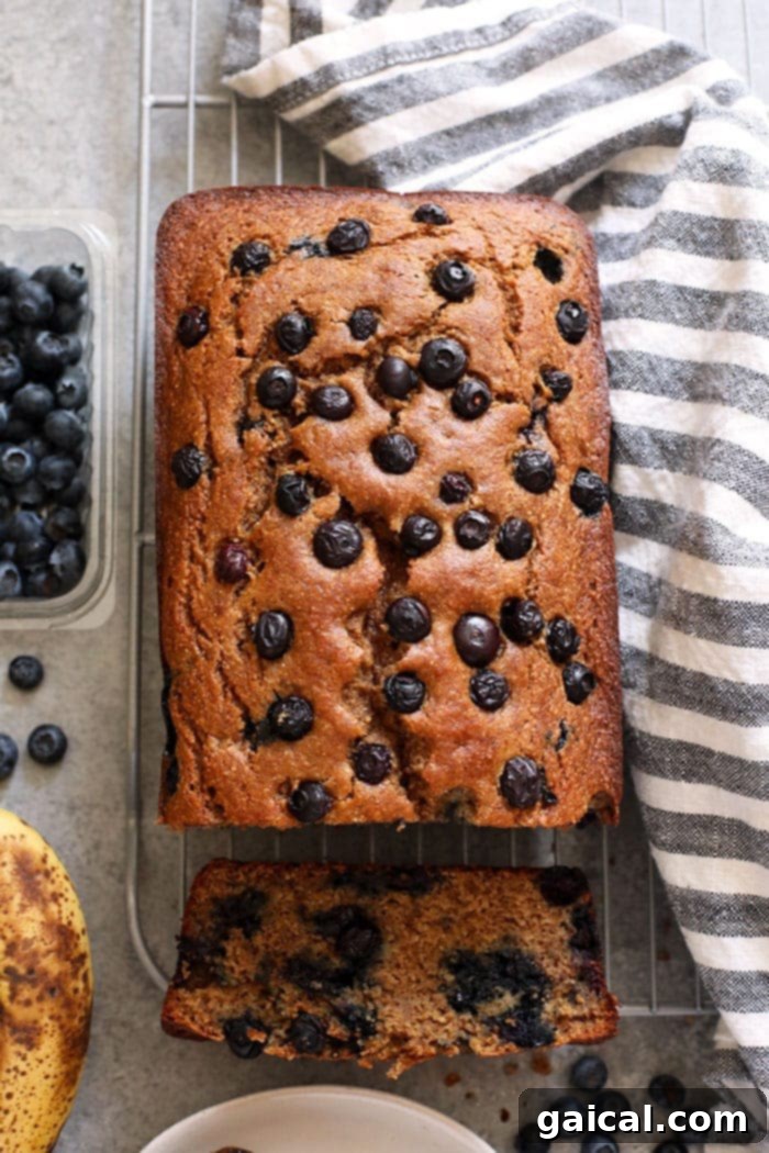 Perfectly moist blueberry banana bread made with whole grains, Greek yogurt, fresh blueberries, and maple syrup! A whole loaf of blueberry banana bread resting on a cooling rack, ready to be sliced and enjoyed.