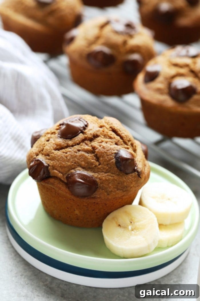 Healthy Banana Chocolate Chip Muffin Muffin on a plate, ready to be enjoyed.