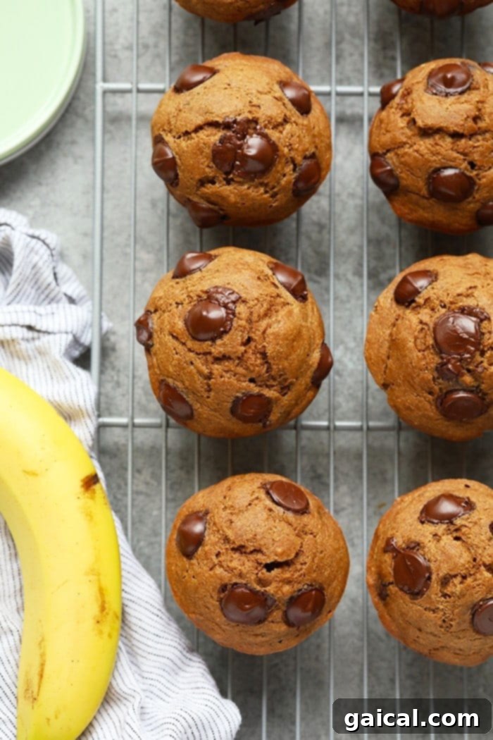 Cooling Banana Chocolate Chip Muffins Freshly baked banana chocolate chip muffins cooling on a wire rack.