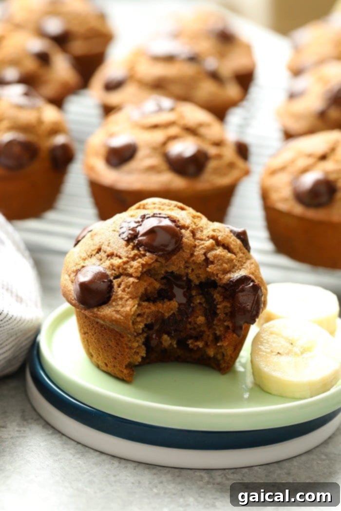 Ready to Eat Muffin A single healthy banana chocolate chip muffin on a plate, ready to eat.