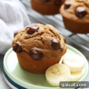Healthy Banana Muffins with chocolate chips