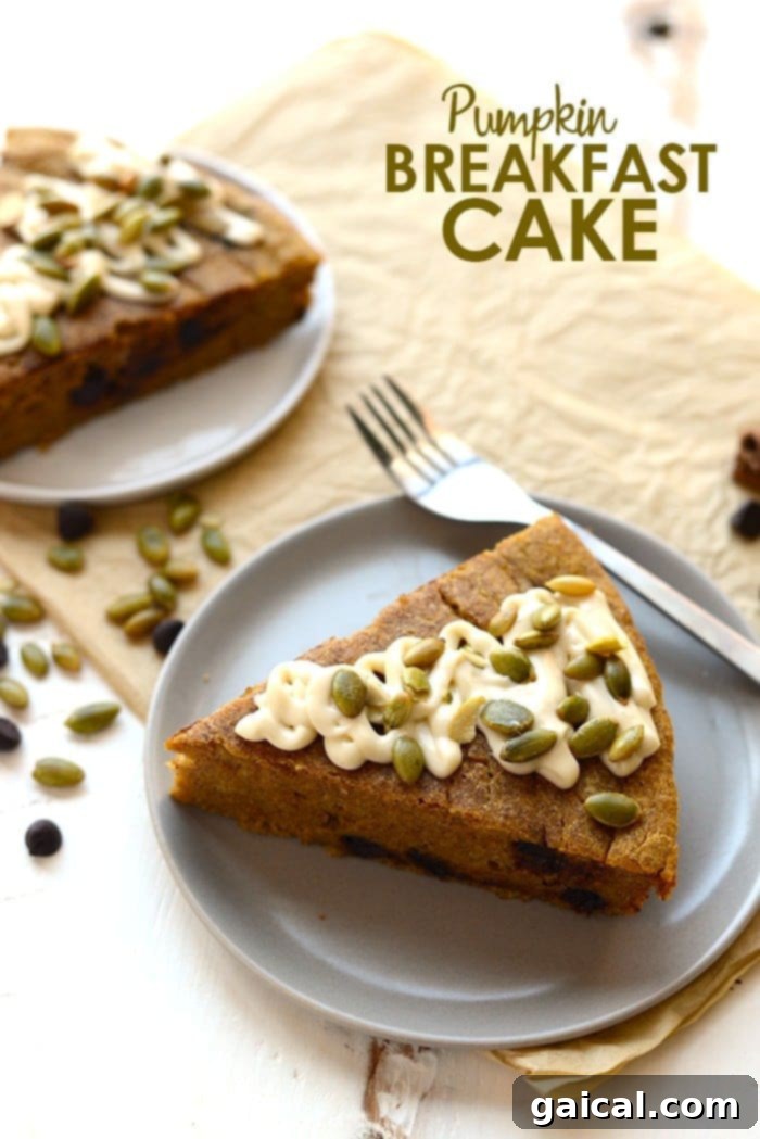 53 Game-Changing Plant-Based Recipes 10 Chocolate chip pumpkin breakfast cake for a sweet morning treat.