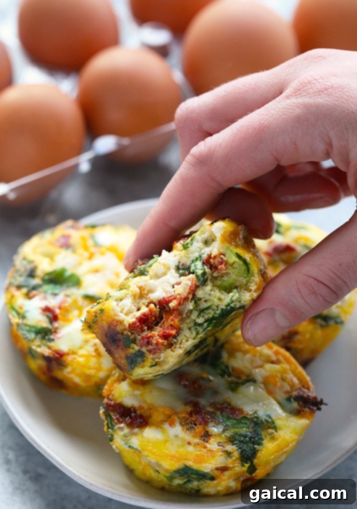 53 Game-Changing Plant-Based Recipes 17 Spinach and Sun-Dried Tomato Egg Cups for a healthy breakfast or snack.