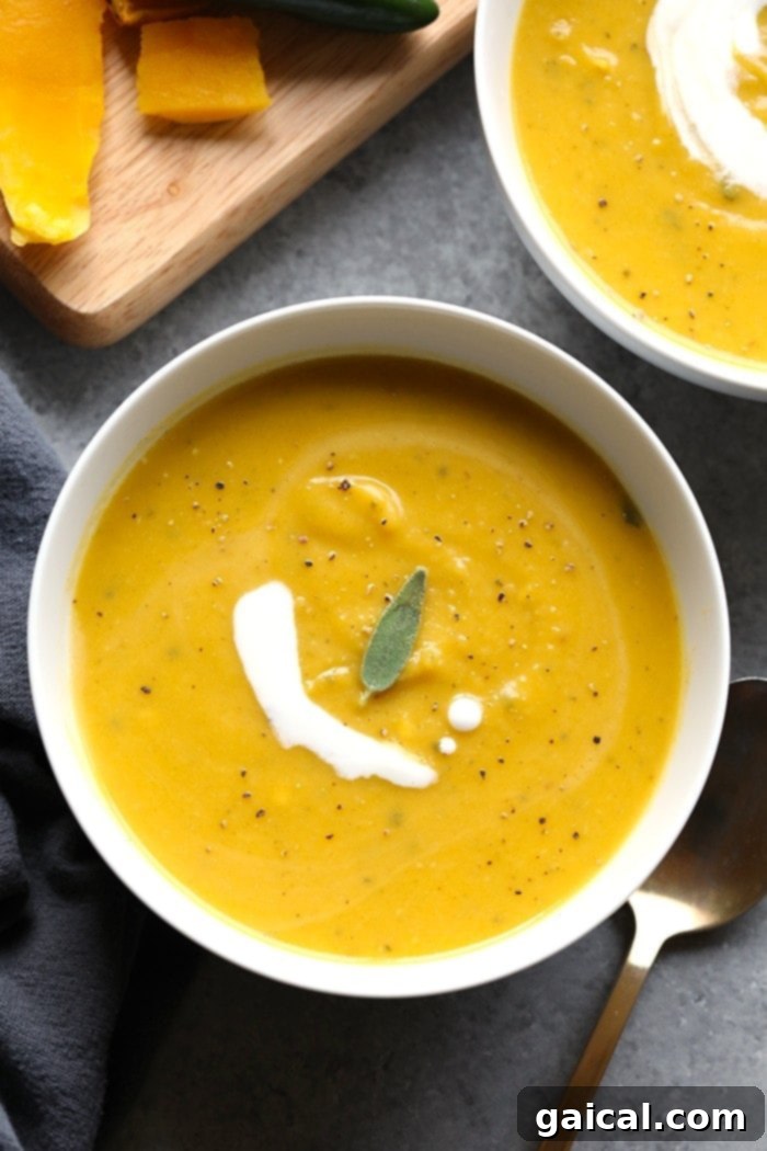 53 Game-Changing Plant-Based Recipes 37 Quick and delicious 30-Minute Spicy Butternut Squash Soup.