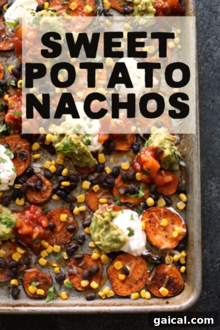 53 Game-Changing Plant-Based Recipes 48 Southwestern Sweet Potato Nachos made with real food ingredients.