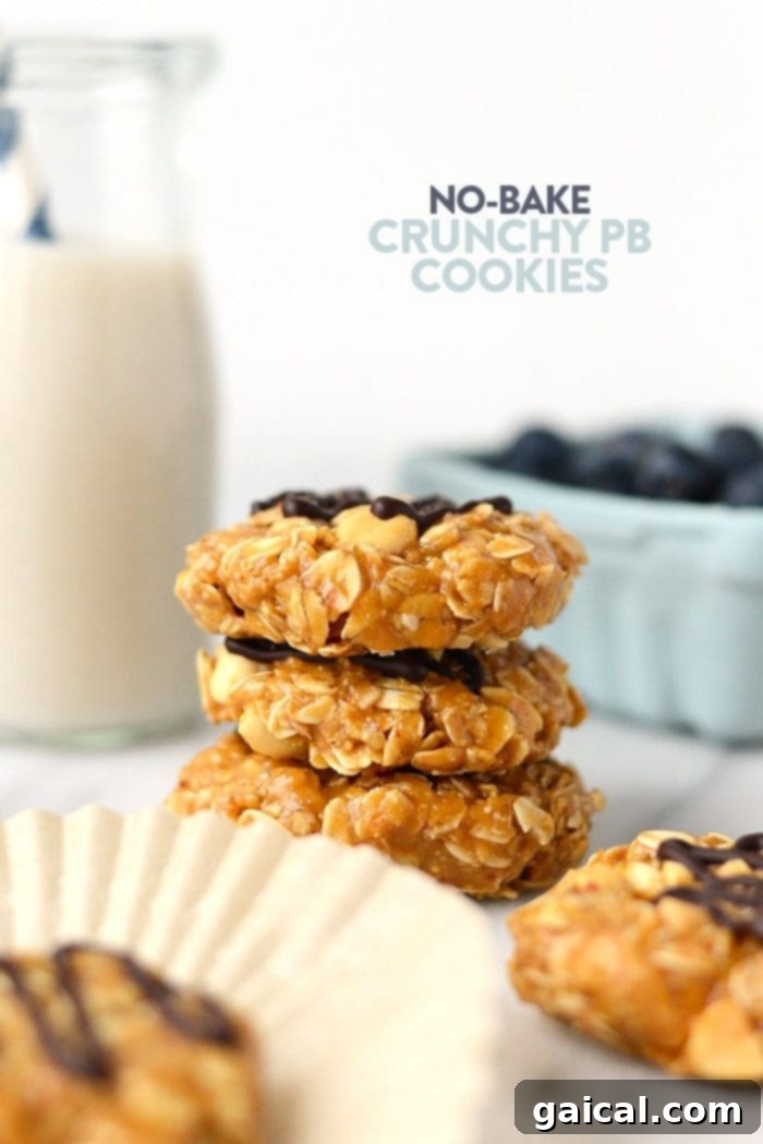 53 Game-Changing Plant-Based Recipes 49 Healthy No-Bake Peanut Butter Cookies with crunchy peanuts.