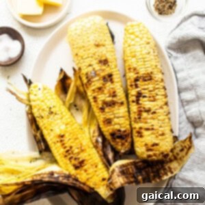 Sunshine Corn Salad 3 Three perfectly grilled ears of corn on a simple white plate, showcasing their inviting charred kernels and golden hue.